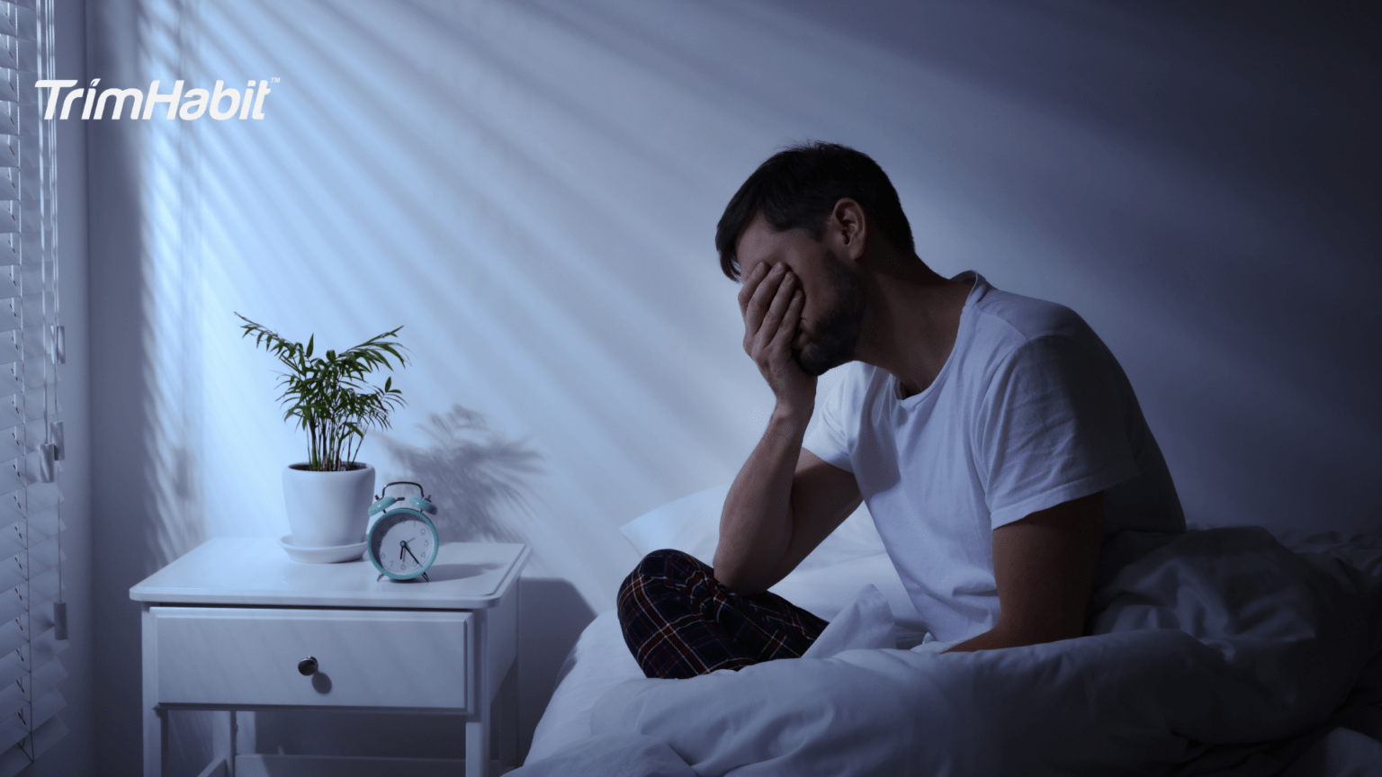 Rooting Sleep Melatonin vs Valerian Root For Sleep - TrimHabit - Weight Loss Habits ...